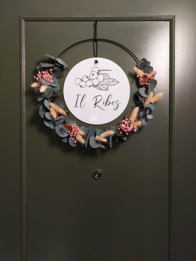 Residence Dei Frutti Pieno Centro - Il Ribes Πάδοβα Εξωτερικό φωτογραφία